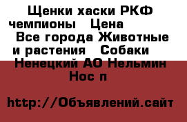 Щенки хаски РКФ чемпионы › Цена ­ 90 000 - Все города Животные и растения » Собаки   . Ненецкий АО,Нельмин Нос п.